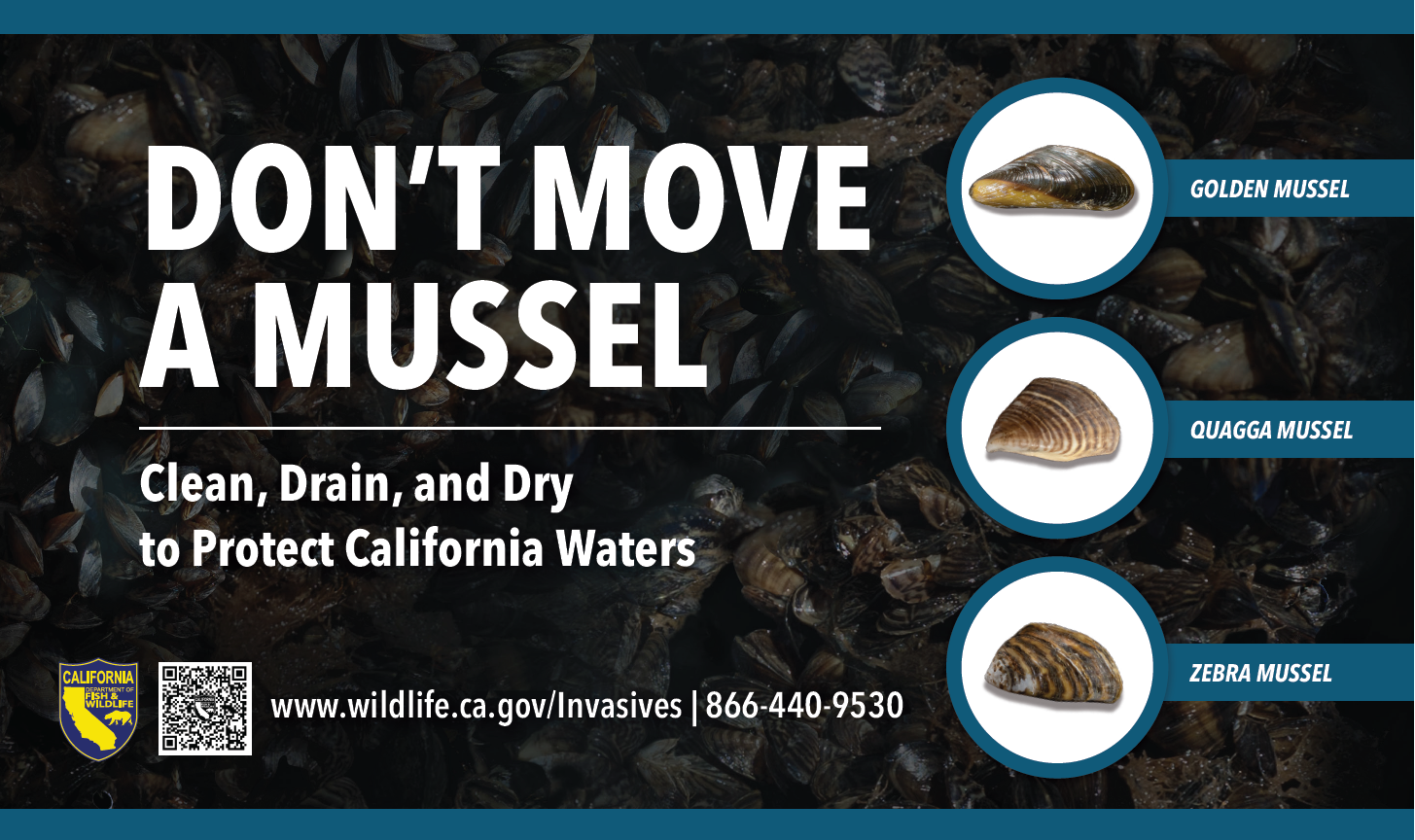 Prevent Spread of Invasive Mussels